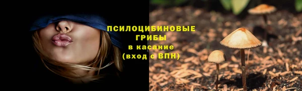 дурь Липки