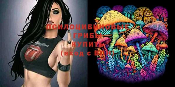 дурь Липки