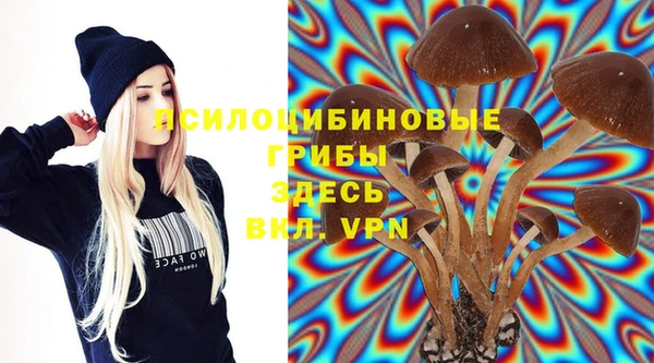 дурь Липки