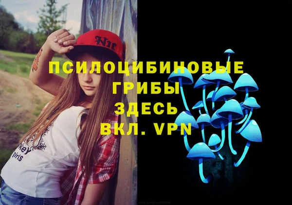 шишки Лагань