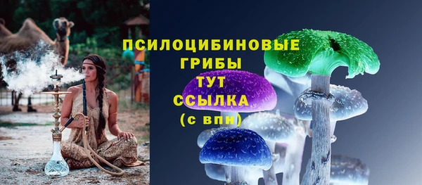 ешки Магас